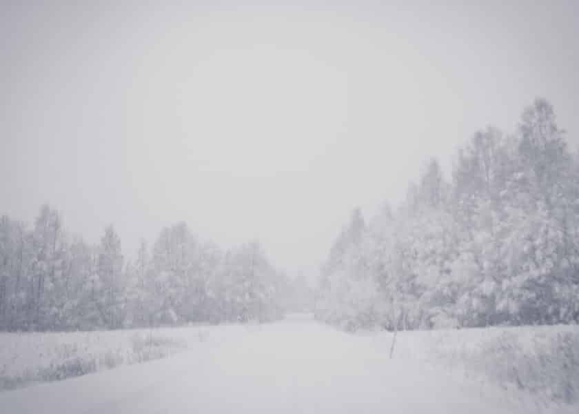 Vinterlandskap, en väg och en skog täkt av snö
